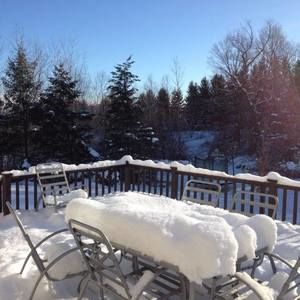 Meet your Posher, Roy